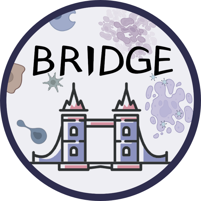 BRIDGE - Home
